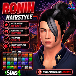 Ronin hairstyle by Jochi project image