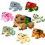 Maple's Frog Collection logo