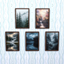Dark Forest Photos logo