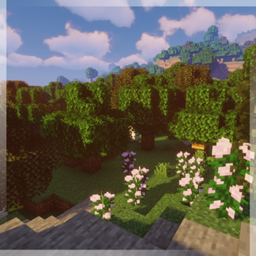 More And Galore! project image