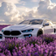 BMW Blossom GUI logo