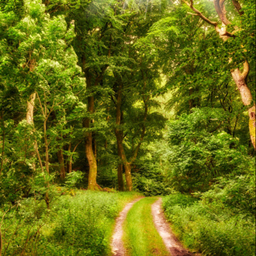Natural Feel project image