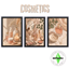 Cosmetics pictures logo