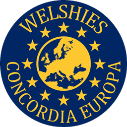 Welshies Concordia Europa project image