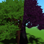 OldGrowthBiomes logo