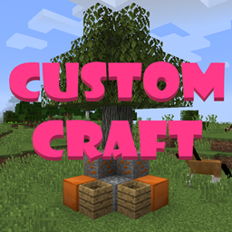 Custom Craft