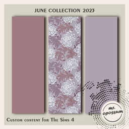 mr.opossum june collection 2023 J24 logo