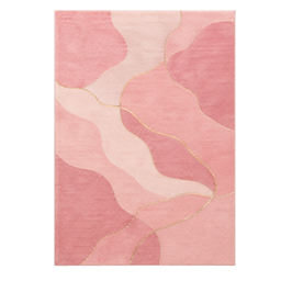 Modern Pink Area Rug project image