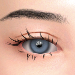 Eyes 137 HQ logo