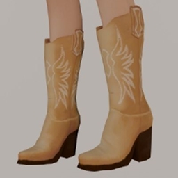 High Heel Cowboy Shoes project image