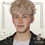 Niven Hair 78 - Broccoli Hair (Males) logo