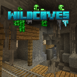 Wild Caves 4 logo