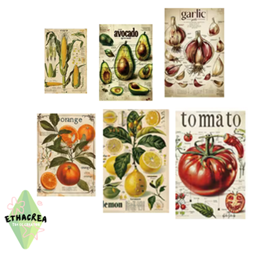 Vegetables Posters project image