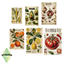 Vegetables Posters logo