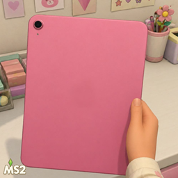 Tablet Pro - MS2