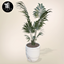 Palm in Pot logo