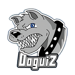 Doguiz Craft Sky Engineers project image