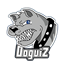 Doguiz Craft Sky Engineers logo