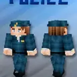 police project image
