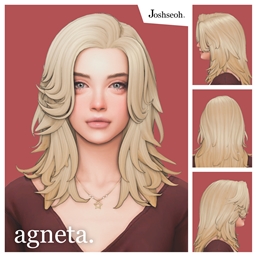 Agneta Hair logo
