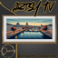 Danius Artsy TV - SetDATV2113 - Basegame compatilbe logo
