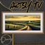 Danius Artsy TV - SetDATV2114 - Basegame compatilbe logo