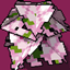 Leafify logo
