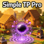 SimpletpPro logo