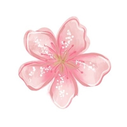 Heralium logo
