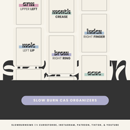 Slow Burn CAS Dividers logo