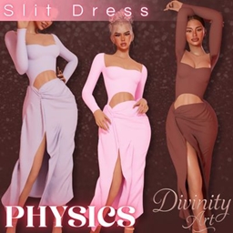 Slit Dress with Physics project image