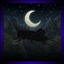 Sleep Through The Night logo