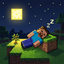 Sleep Anywhere logo