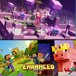 SimplyEnhanced logo