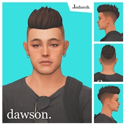 Dawson Hair project image