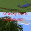 Gravity Core: Skybound logo