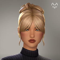 Lucy Bun project image