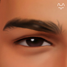 Eyebrow Set No11 project image