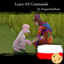 Learn All Commands - Polskie Tłumaczenie logo