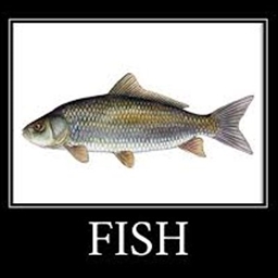 AquaCulture: Additions logo