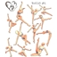 Ballet poses logo