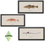 Fisherman logo