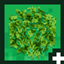 Leaves Experience+ logo