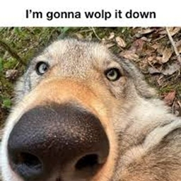 WOLFPACKPACK