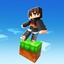 One Block Sky Challenge logo