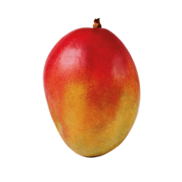 Mango Crosshair logo