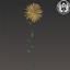 🌿 Serenith Bath - Delicate Zen Flora logo