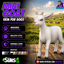 Mini Goat skin by Jochi logo