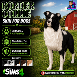 Border collie skin by Jochi logo