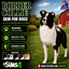 Border collie skin by Jochi logo